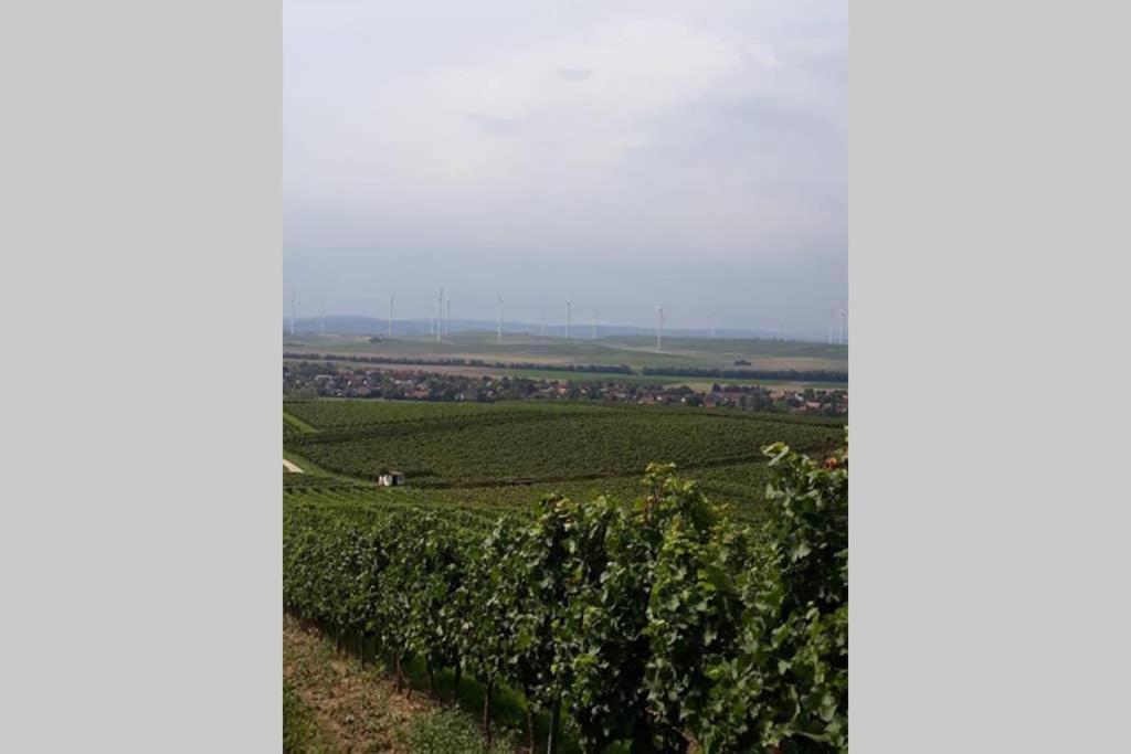 Wohlfuehlen Im Rheinhessischen Backsteinhaus Διαμέρισμα Armsheim Εξωτερικό φωτογραφία